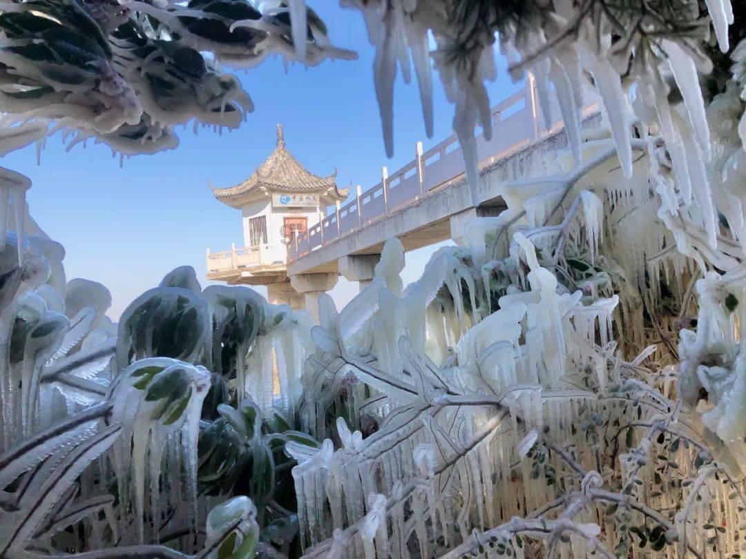 广州白云山景区玩飞索被困高空派出所回应紧急救援措施